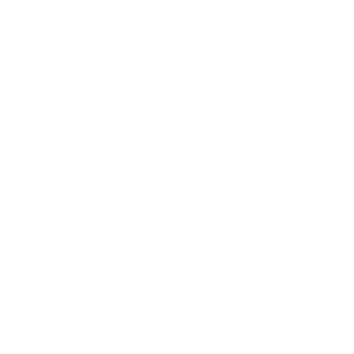 eFLEX